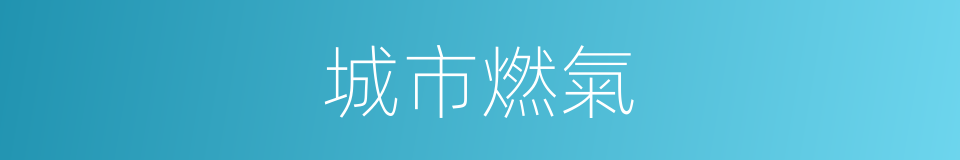 城市燃氣的同義詞