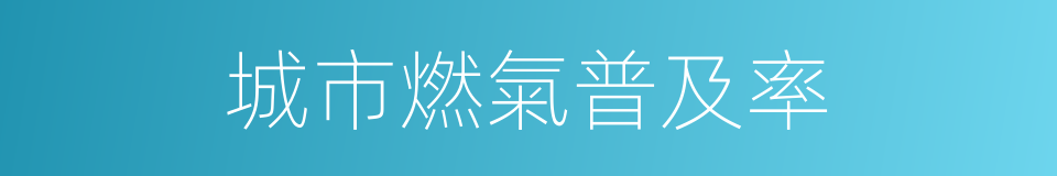 城市燃氣普及率的同義詞