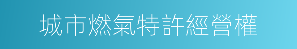 城市燃氣特許經營權的同義詞