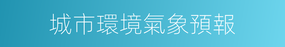 城市環境氣象預報的同義詞