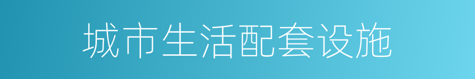 城市生活配套设施的同义词