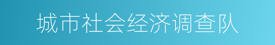 城市社会经济调查队的同义词