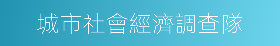 城市社會經濟調查隊的同義詞