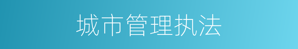 城市管理执法的同义词