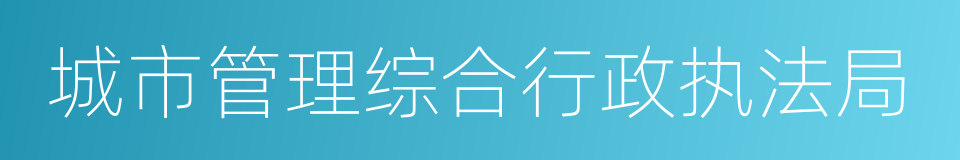 城市管理综合行政执法局的同义词