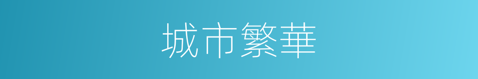 城市繁華的同義詞