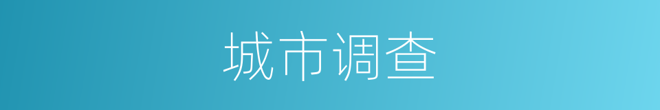 城市调查的同义词