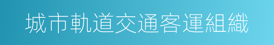 城市軌道交通客運組織的同義詞