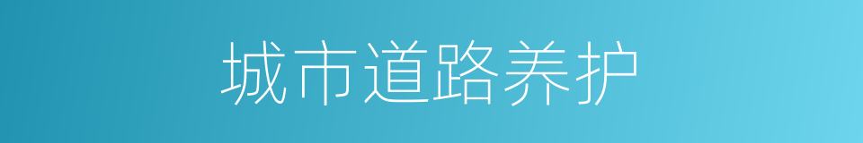 城市道路养护的同义词