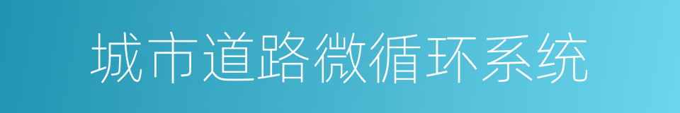 城市道路微循环系统的意思