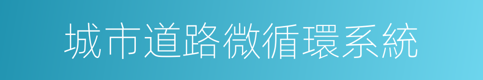 城市道路微循環系統的意思