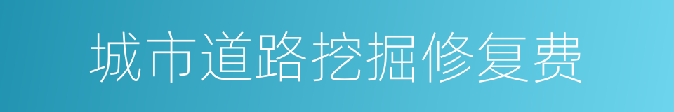 城市道路挖掘修复费的同义词