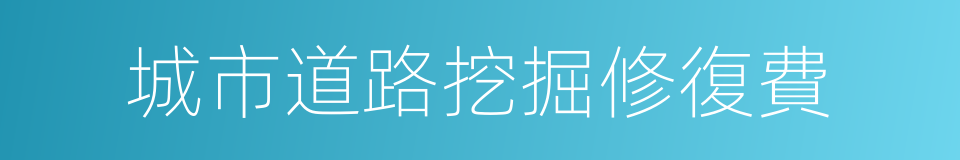 城市道路挖掘修復費的同義詞