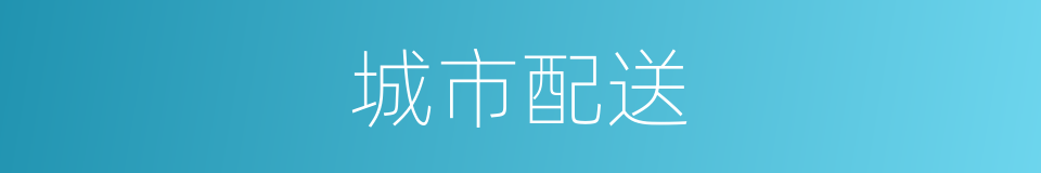 城市配送的同义词