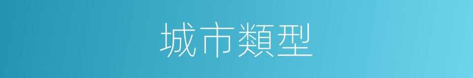 城市類型的意思