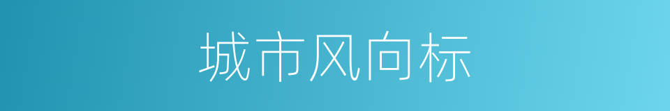 城市风向标的同义词