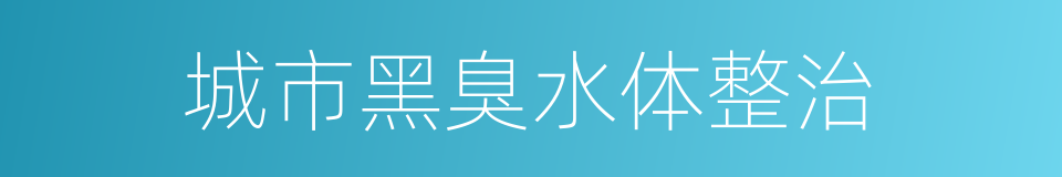 城市黑臭水体整治的同义词