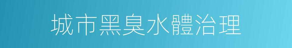 城市黑臭水體治理的同義詞