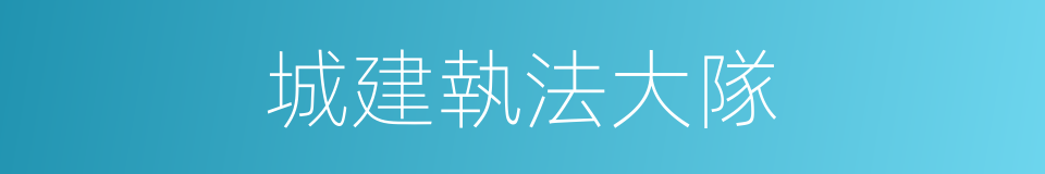 城建執法大隊的同義詞