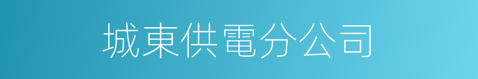 城東供電分公司的同義詞