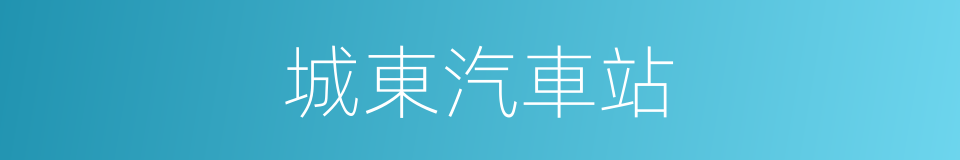 城東汽車站的同義詞