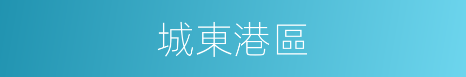 城東港區的同義詞