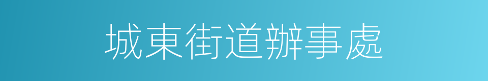 城東街道辦事處的同義詞