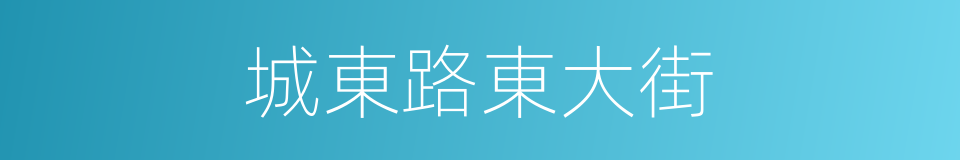 城東路東大街的同義詞