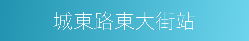 城東路東大街站的同義詞