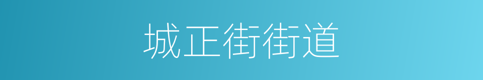 城正街街道的同义词