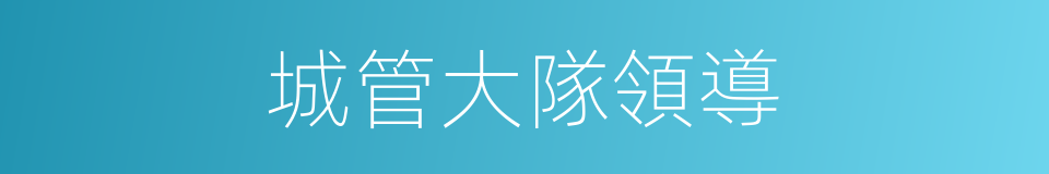 城管大隊領導的同義詞
