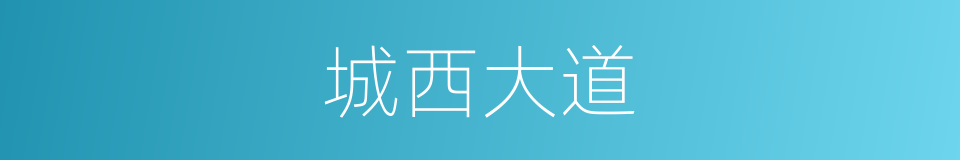 城西大道的同义词