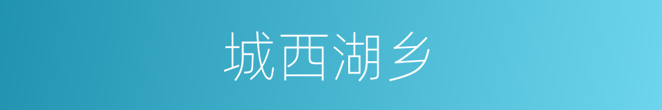 城西湖乡的同义词