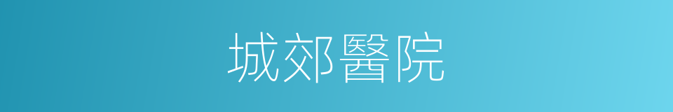 城郊醫院的同義詞