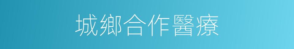城鄉合作醫療的同義詞