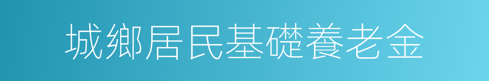 城鄉居民基礎養老金的同義詞