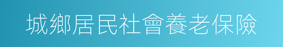城鄉居民社會養老保險的同義詞