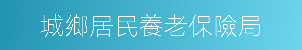 城鄉居民養老保險局的同義詞