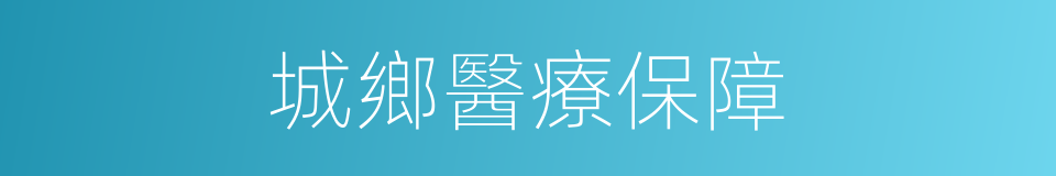 城鄉醫療保障的同義詞
