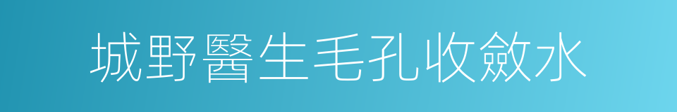 城野醫生毛孔收斂水的同義詞