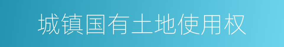 城镇国有土地使用权的同义词
