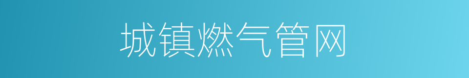 城镇燃气管网的同义词