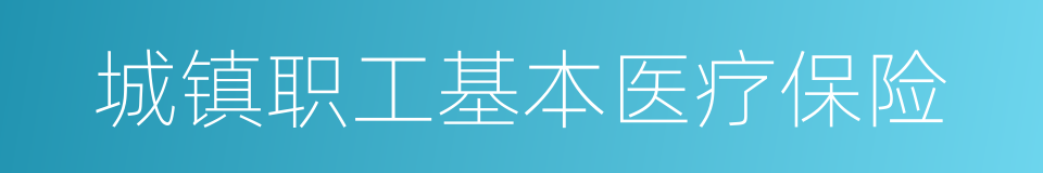 城镇职工基本医疗保险的同义词