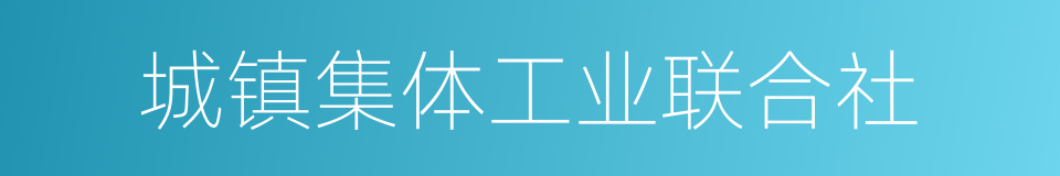城镇集体工业联合社的同义词