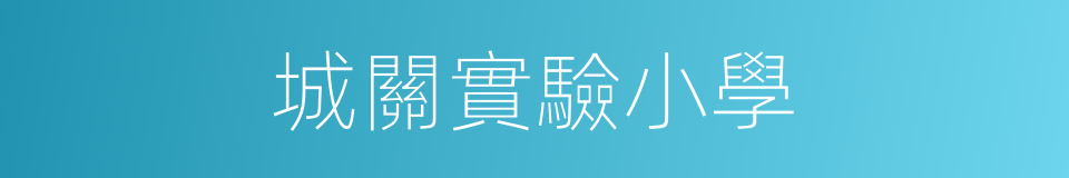 城關實驗小學的同義詞