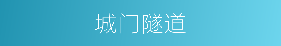 城门隧道的同义词