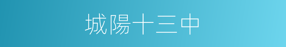 城陽十三中的同義詞