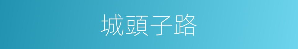 城頭子路的意思