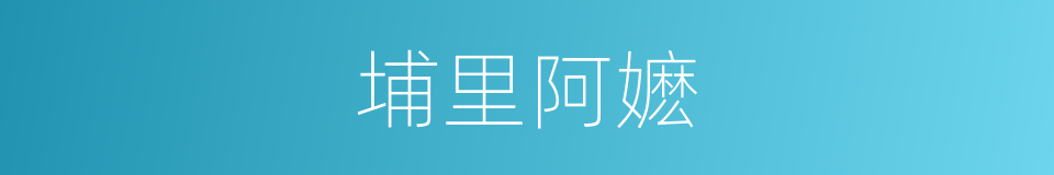埔里阿嬷的同义词