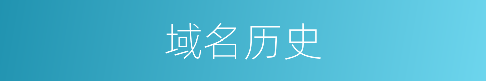 域名历史的同义词